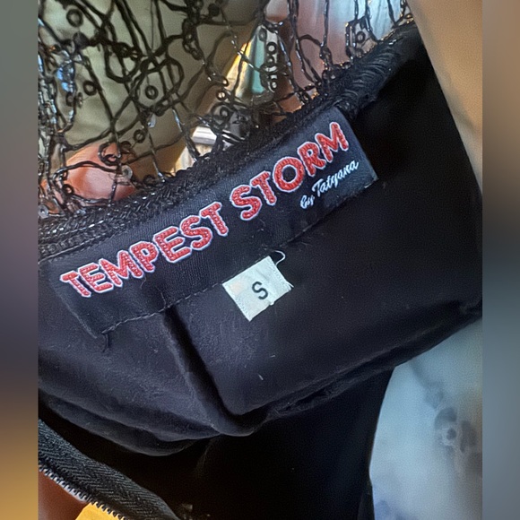 TATYANA - “Tempest Storm” Elegant Shimmer and Lace dress - Picture 4 of 6